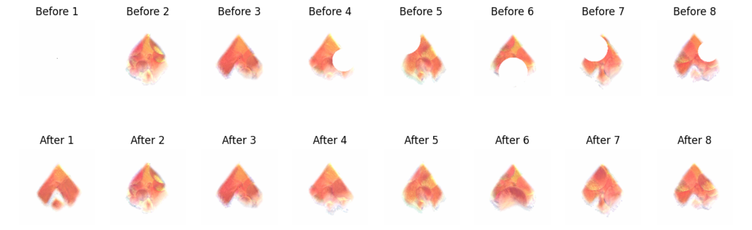 image-20250627165830802